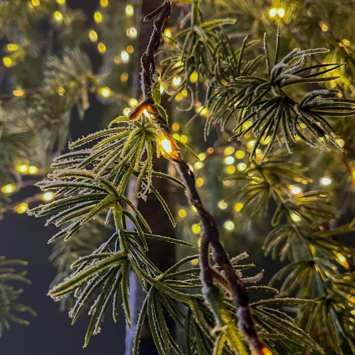 Arbre lumineux 600 LED (H180 cm) Bouleau enneigé Blanc chaud