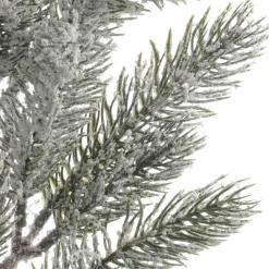 Branche de sapin (52 cm) Omorika Vert enneigé