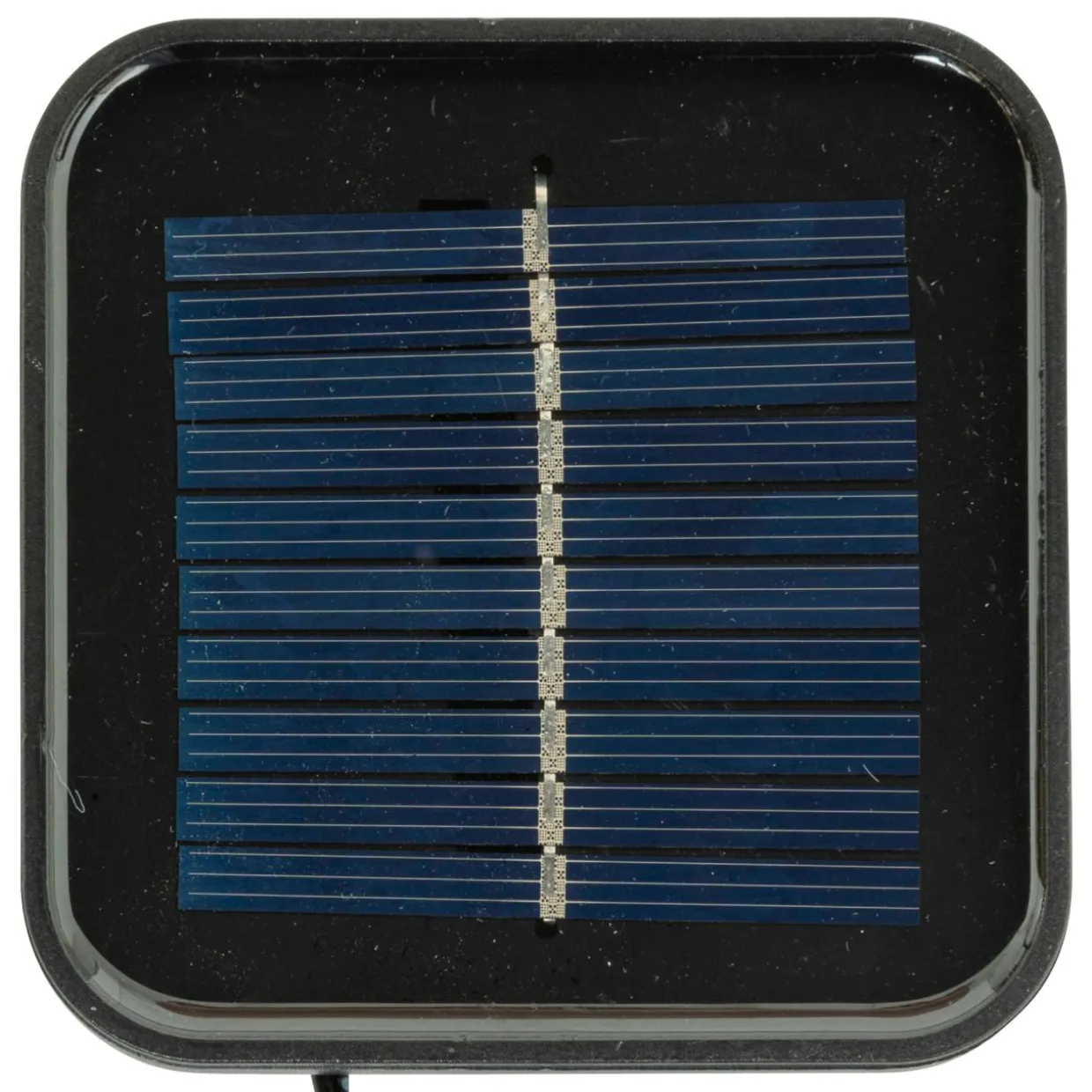 Champignon lumineux solaire 30 LED (H21 cm) Forêt magique Blanc froid