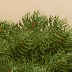 Guirlande de sapin (300 cm - D25) Utah Luxe Vert sapin