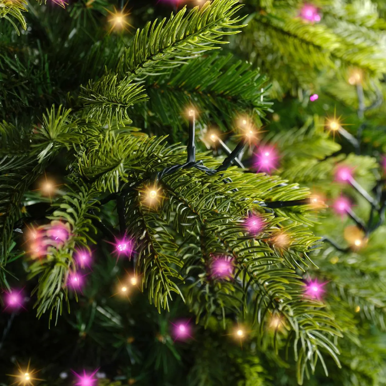 Guirlande lumineuse 22,5 m 1000 LED câble vert Luxe Bicolore Rose et blanc