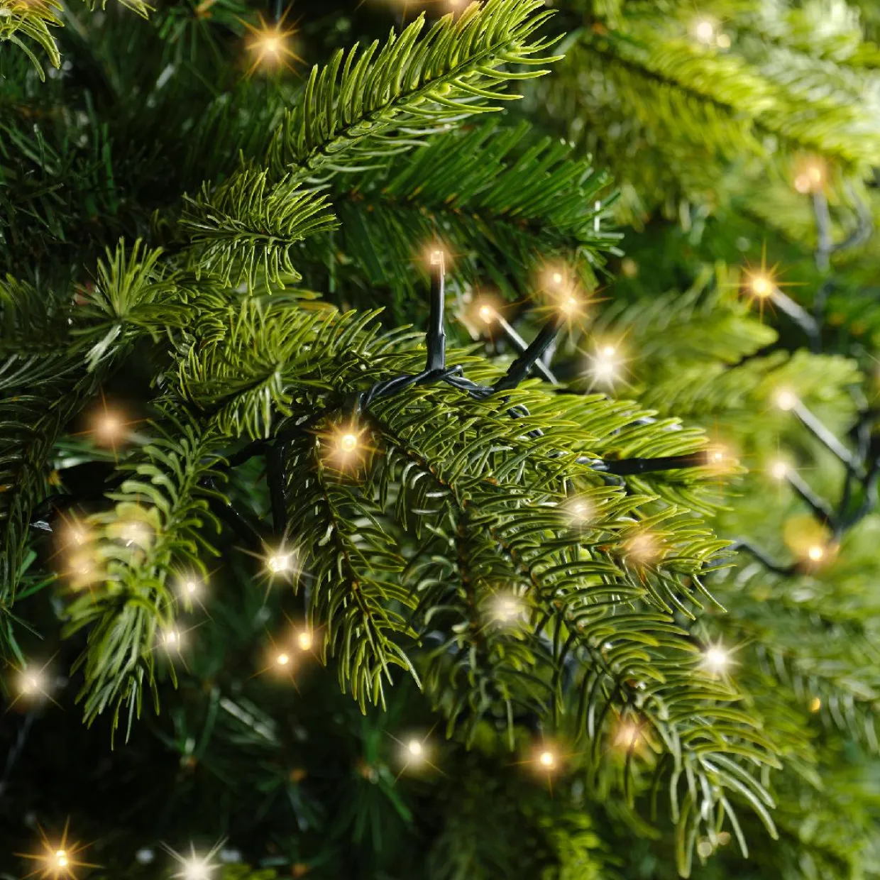 Guirlande lumineuse 45 m 2000 LED câble vert Luxe Blanc chaud et chaud doré