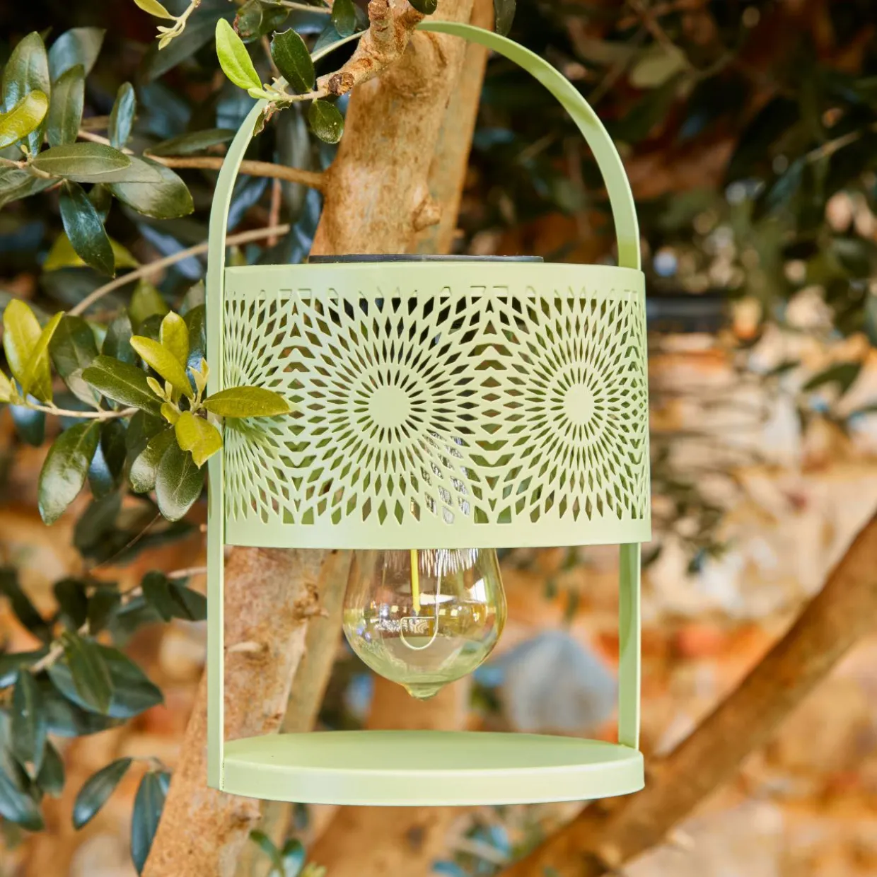 Lanterne solaire de table (H22,5 cm) à LED Vert clair