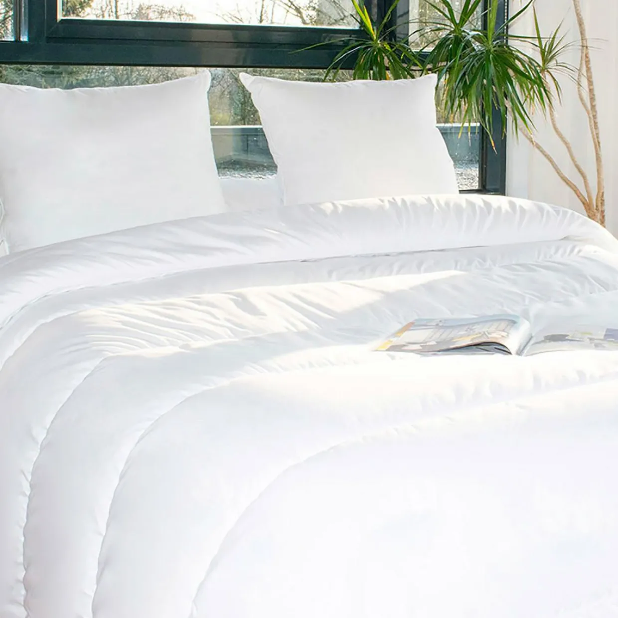 Lot Couette chaude anti-acariens (240 x 220 cm) + 2 Oreillers (60 x 60 cm) Comète Blanche