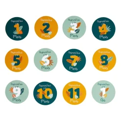 Lot de 12 cartes étapes bébé carton (10 cm) Mois Multicolore