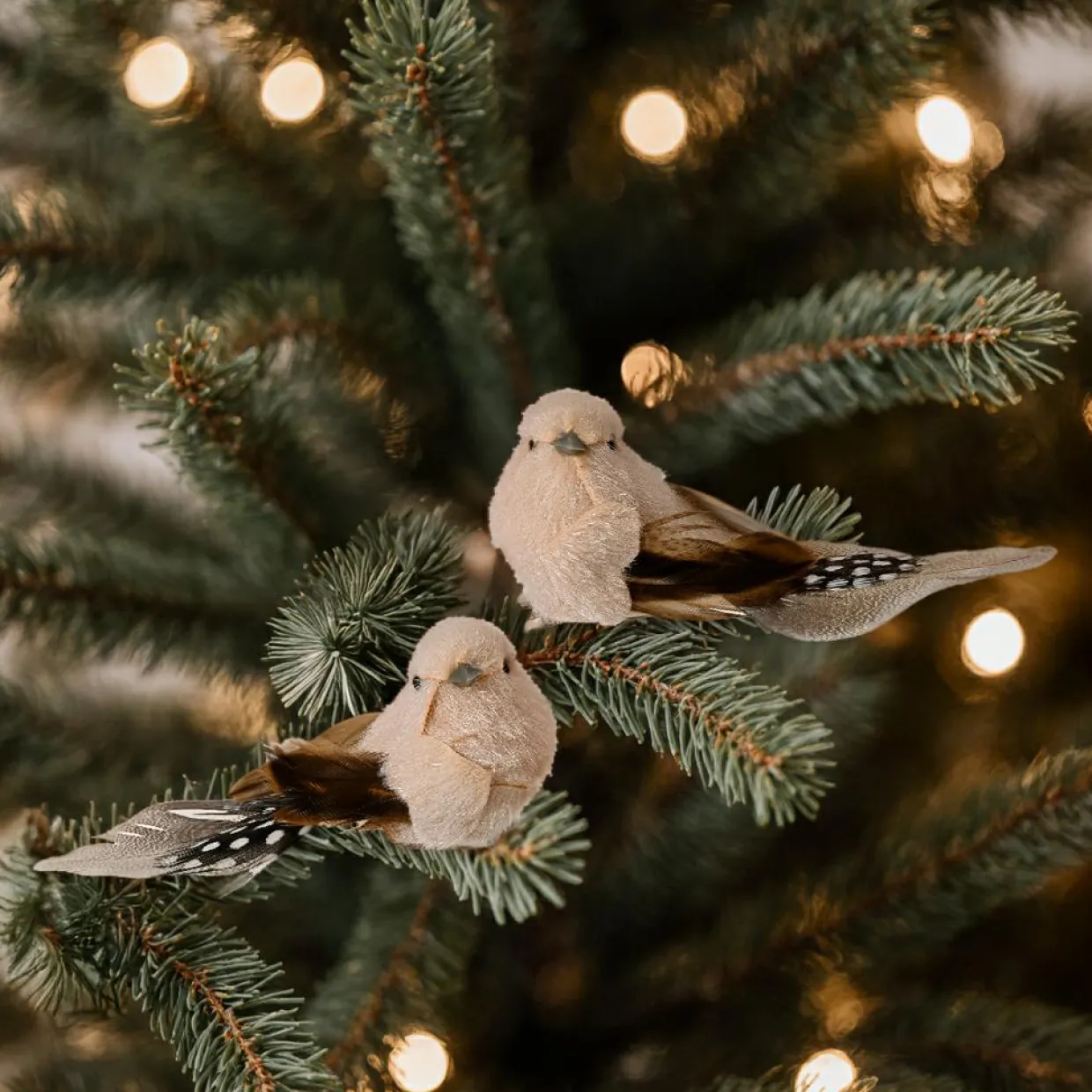 Lot de 2 Oiseaux sur pince (L12 cm) Plume nature Marron et crème