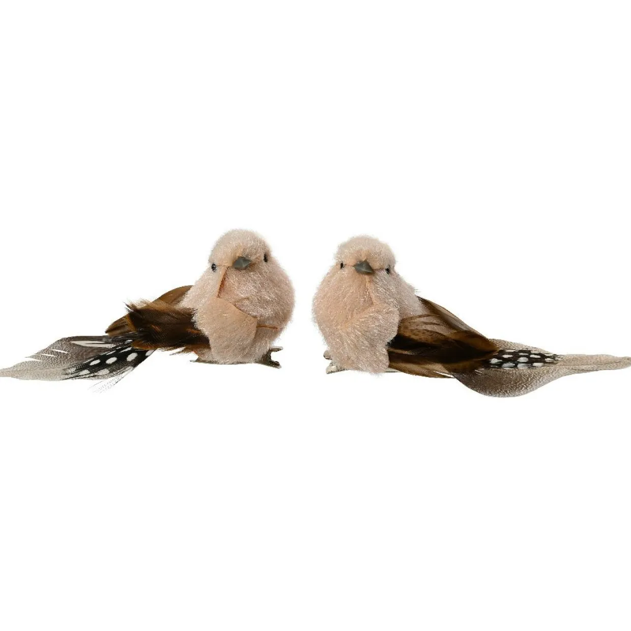 Lot de 2 Oiseaux sur pince (L12 cm) Plume nature Marron et crème