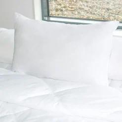 Oreiller rectangulaire ferme (50 x 70 cm) Alaska Blanc