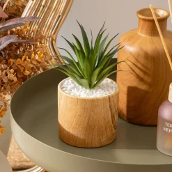 Plante artificielle avec pot (H17 cm) Sao plante grasse