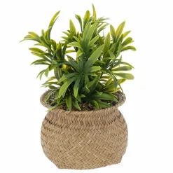 Plante artificielle en pot (H20 cm) Jil Verte