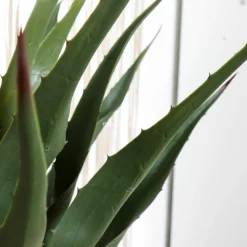 Plante artificielle (H73 cm) Palmier en pot