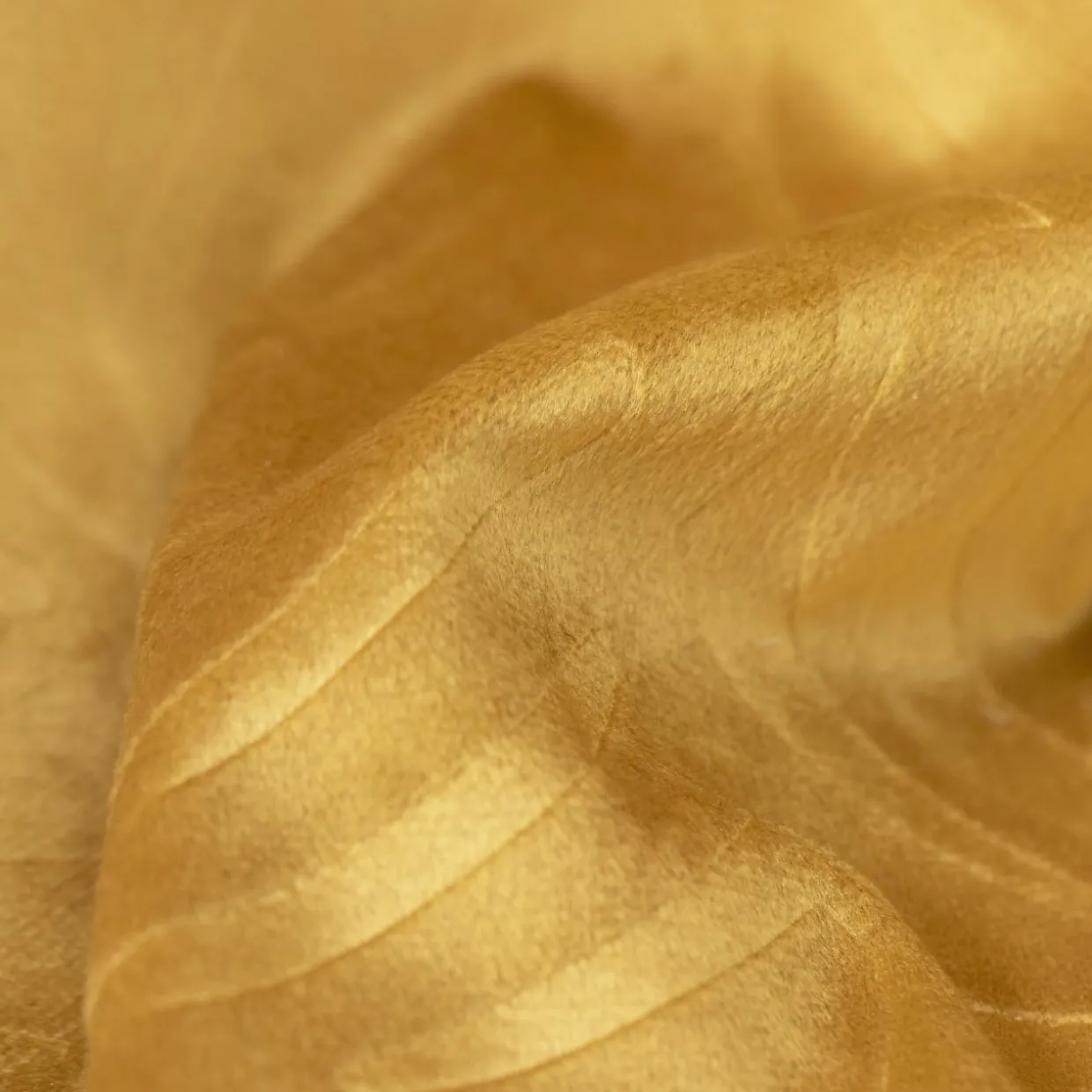 Rideau obscurcissant velours (140 x 180 cm) Fern Jaune ocre