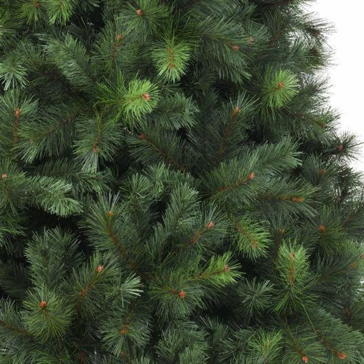 Sapin artificiel de Noël (H210 cm) Edmonton Vert sapin
