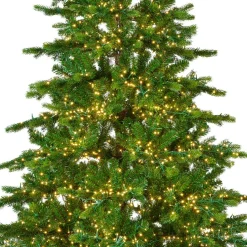Sapin de Noël artificiel lumineux 4000 LED (H210 cm) Caucasia Nordmann Vert sapin