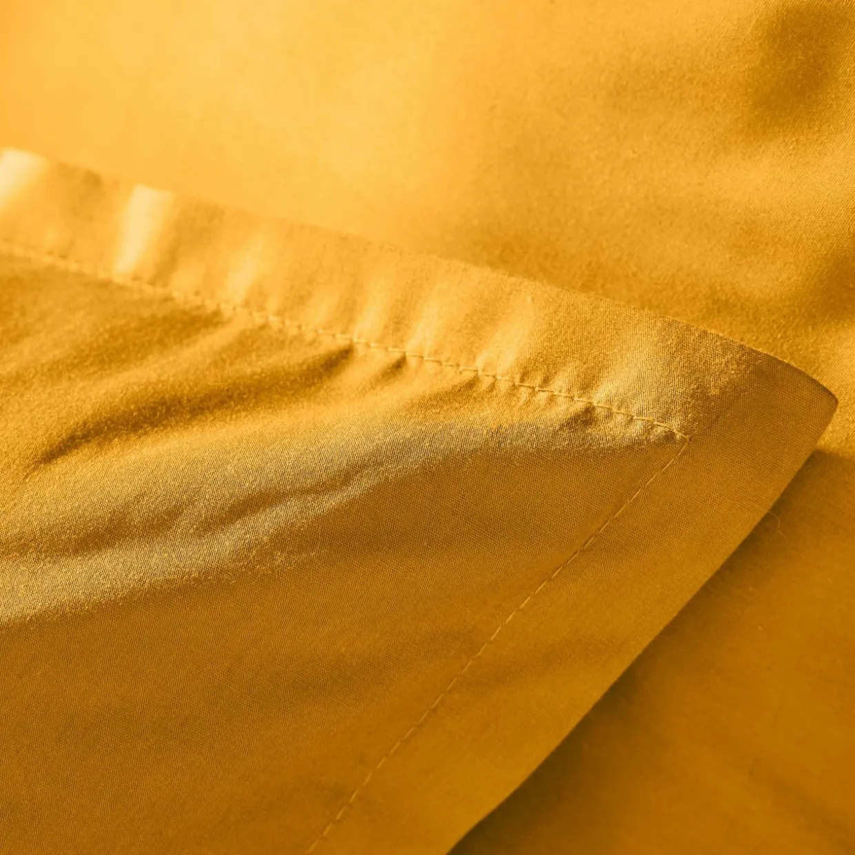 Taie d'oreiller carrée percale de coton (65 x 65 cm) Cali Jaune moutarde